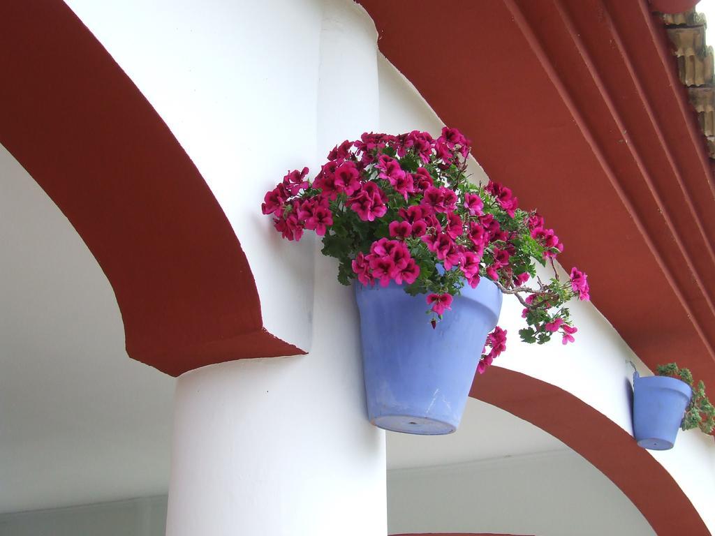 Villa Frasquita Priego de Córdoba Exterior foto